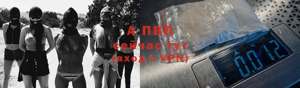 индика Арсеньев