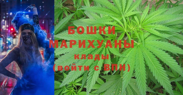 spice Алексеевка